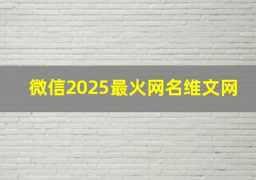 微信2025最火网名维文网