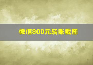 微信800元转账截图