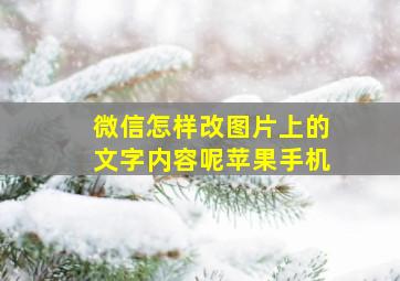 微信怎样改图片上的文字内容呢苹果手机