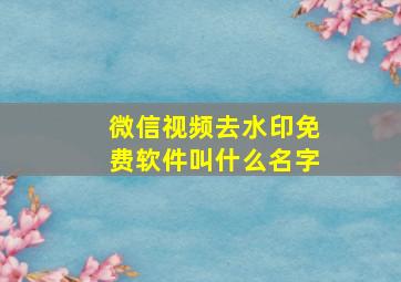 微信视频去水印免费软件叫什么名字