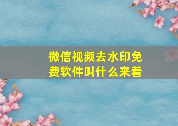 微信视频去水印免费软件叫什么来着