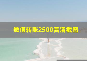 微信转账2500高清截图