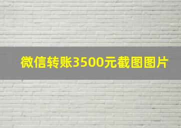 微信转账3500元截图图片