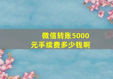 微信转账5000元手续费多少钱啊