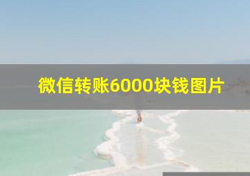 微信转账6000块钱图片