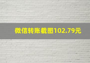 微信转账截图102.79元