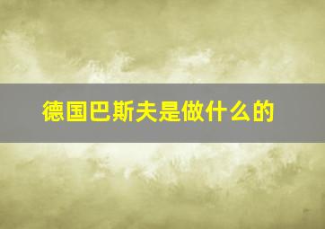 德国巴斯夫是做什么的