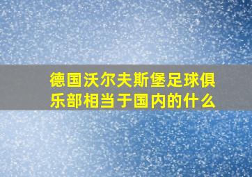 德国沃尔夫斯堡足球俱乐部相当于国内的什么