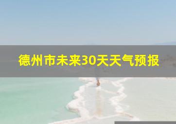 德州市未来30天天气预报