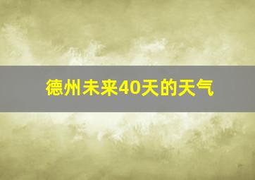 德州未来40天的天气