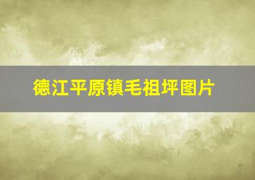 德江平原镇毛祖坪图片