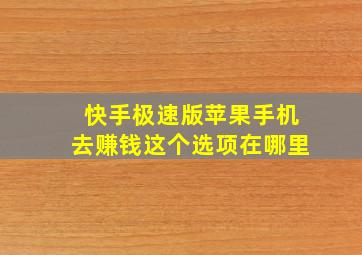 快手极速版苹果手机去赚钱这个选项在哪里