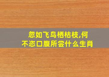 忽如飞鸟栖枯枝,何不恣口腹所尝什么生肖