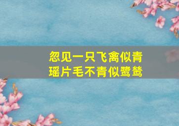 忽见一只飞禽似青瑶片毛不青似鹭鸶