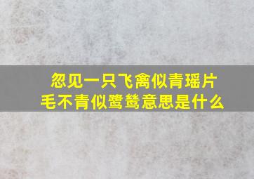 忽见一只飞禽似青瑶片毛不青似鹭鸶意思是什么