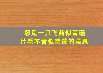 忽见一只飞禽似青瑶片毛不青似鹭鸶的意思