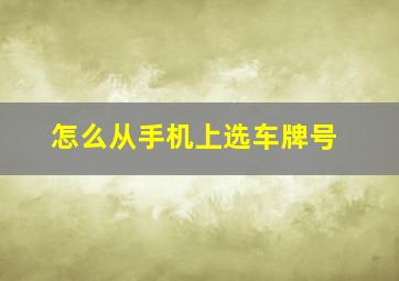 怎么从手机上选车牌号