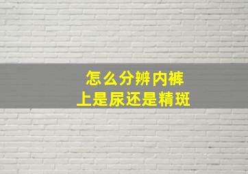 怎么分辨内裤上是尿还是精斑