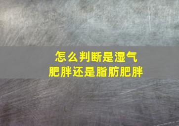 怎么判断是湿气肥胖还是脂肪肥胖