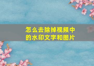 怎么去除掉视频中的水印文字和图片