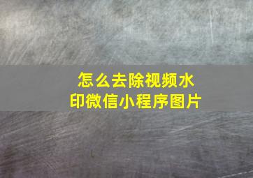 怎么去除视频水印微信小程序图片