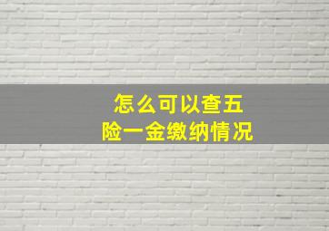 怎么可以查五险一金缴纳情况