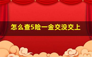 怎么查5险一金交没交上