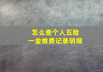 怎么查个人五险一金缴费记录明细