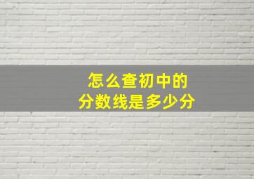 怎么查初中的分数线是多少分