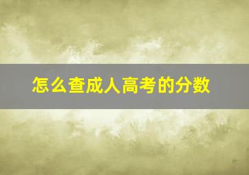 怎么查成人高考的分数