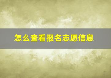 怎么查看报名志愿信息