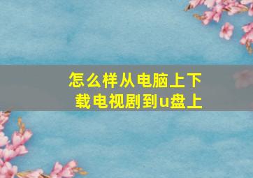 怎么样从电脑上下载电视剧到u盘上