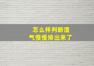 怎么样判断湿气慢慢排出来了