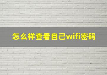 怎么样查看自己wifi密码