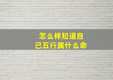 怎么样知道自己五行属什么命