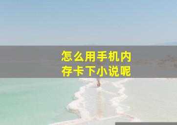 怎么用手机内存卡下小说呢