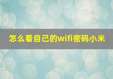 怎么看自己的wifi密码小米