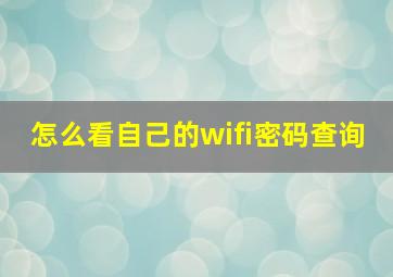 怎么看自己的wifi密码查询