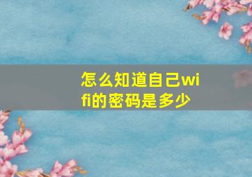 怎么知道自己wifi的密码是多少