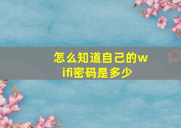 怎么知道自己的wifi密码是多少