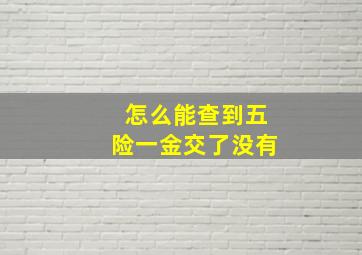 怎么能查到五险一金交了没有