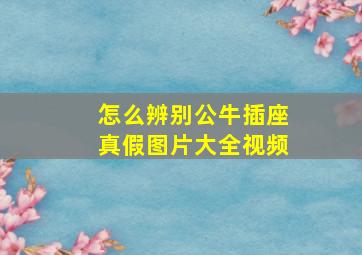 怎么辨别公牛插座真假图片大全视频