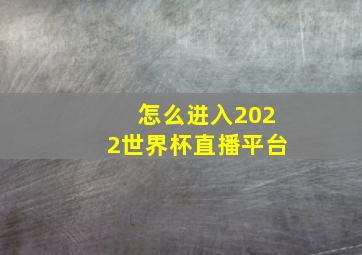 怎么进入2022世界杯直播平台