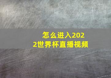 怎么进入2022世界杯直播视频