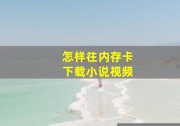 怎样往内存卡下载小说视频