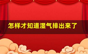 怎样才知道湿气排出来了