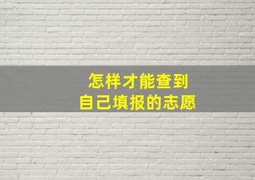 怎样才能查到自己填报的志愿