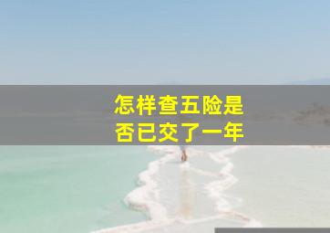 怎样查五险是否已交了一年