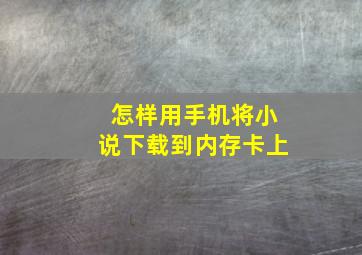 怎样用手机将小说下载到内存卡上