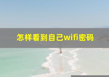 怎样看到自己wifi密码